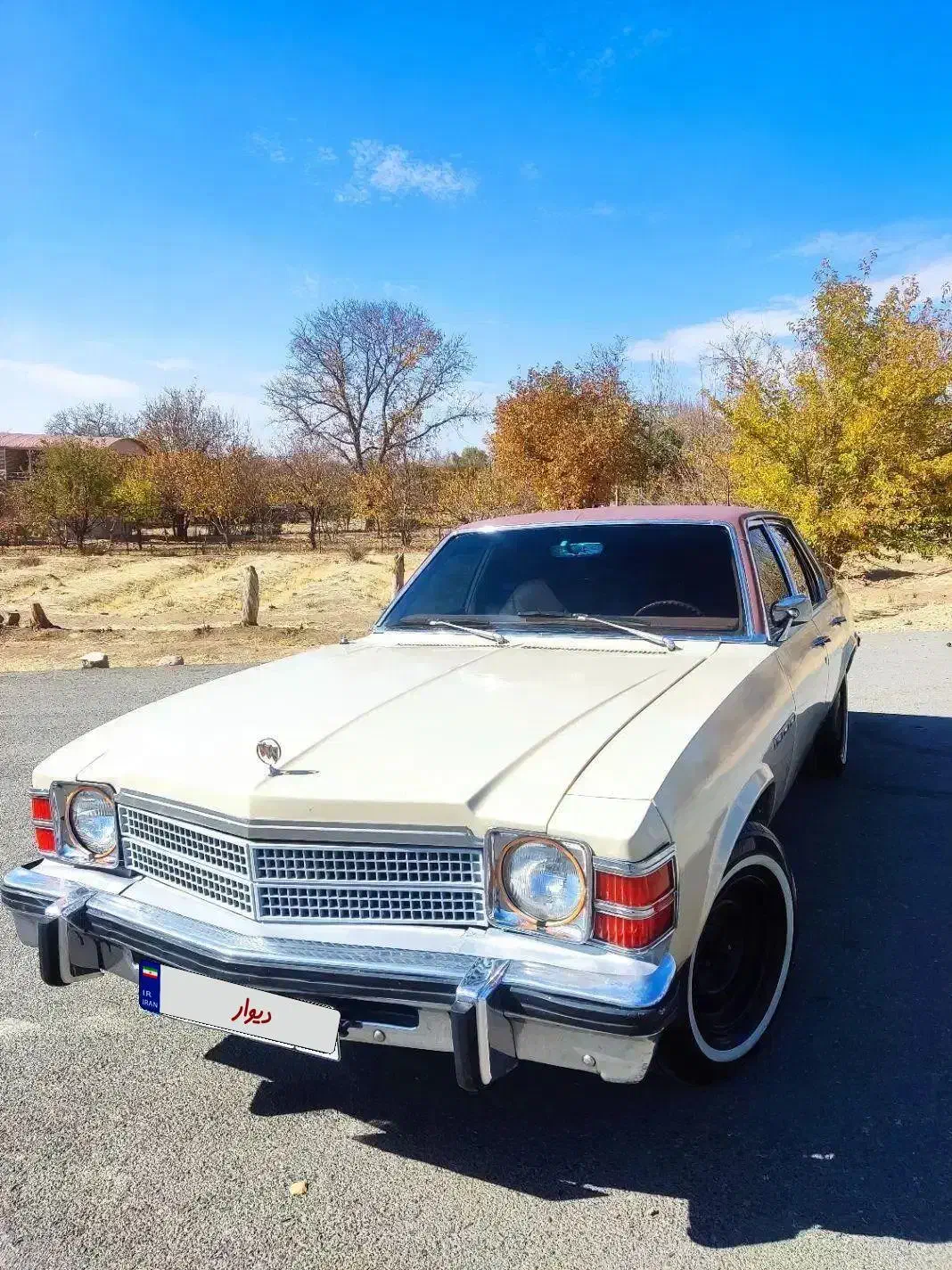 بیوک مدل ۶۶ بی ۳|خودرو کلاسیک|تهران, جوادیه|دیوار