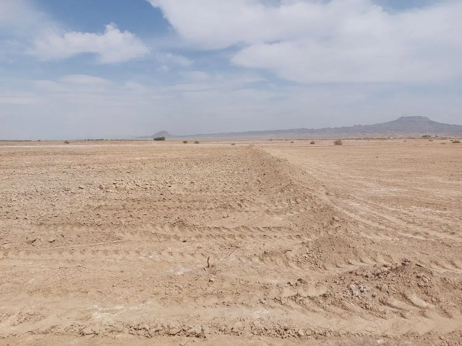 ۱هکتار زمین کشاورزی با ۹ ساعت آب|فروش دفتر صنعتی، کشاورزی، تجاری|نهبندان, |دیوار