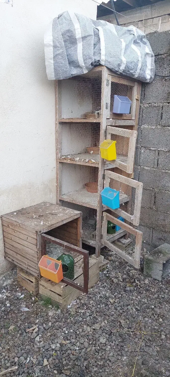 جفتگاه کبوتر ۴ طبقه|لوازم جانبی حیوانات|رشت, فرزانه|دیوار