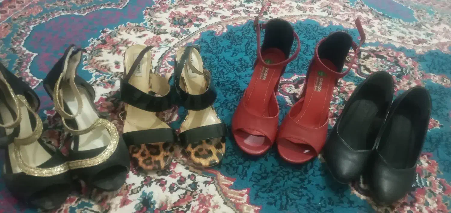 کفش مجلسی|کیف، کفش، کمربند|سیرجان, |دیوار