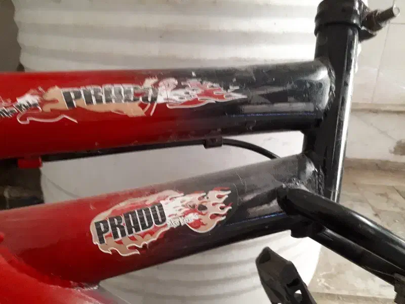 دچرخه ۱۶|دوچرخه، اسکیت، اسکوتر|مشهد, رستگار|دیوار