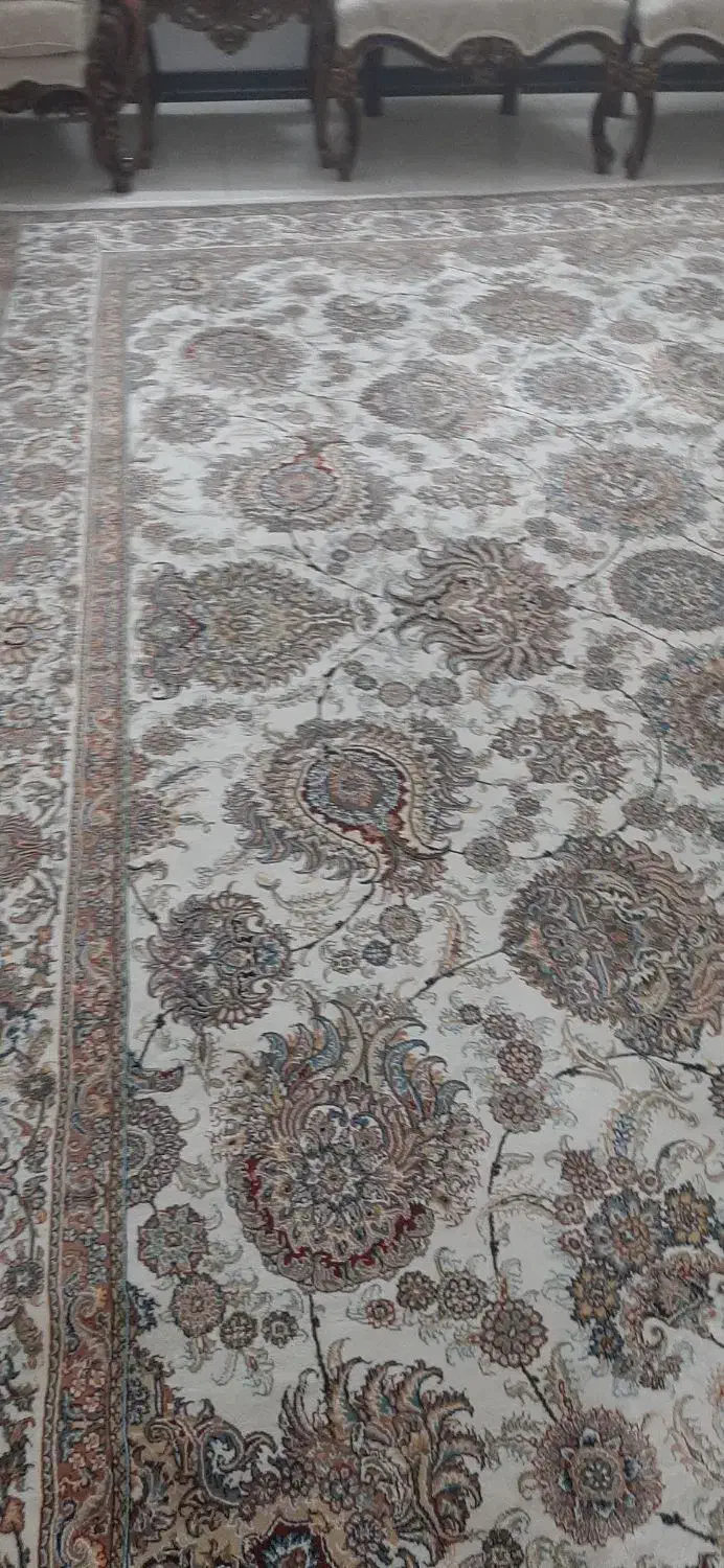 فرش 12 و9متری|فرش|قم, باغ کرباسی|دیوار