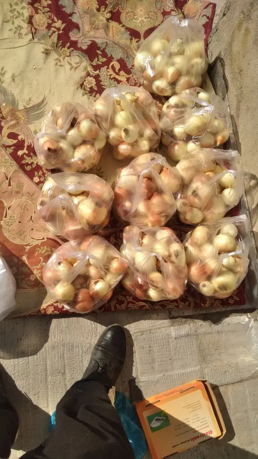 پیاز زرد کبابی درشت و متوسط|عمدهفروشی|صحنه, |دیوار