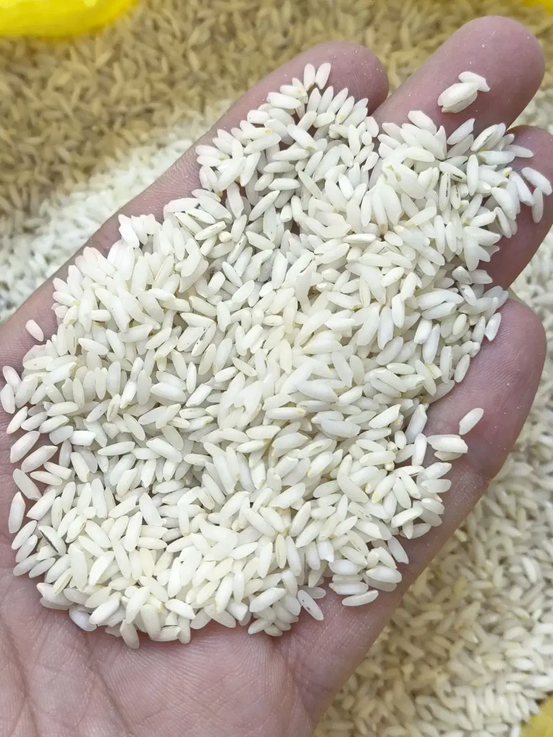 برنج فروشی به قیمت عمده|خوردنی و آشامیدنی|پرند, فاز ۱|دیوار