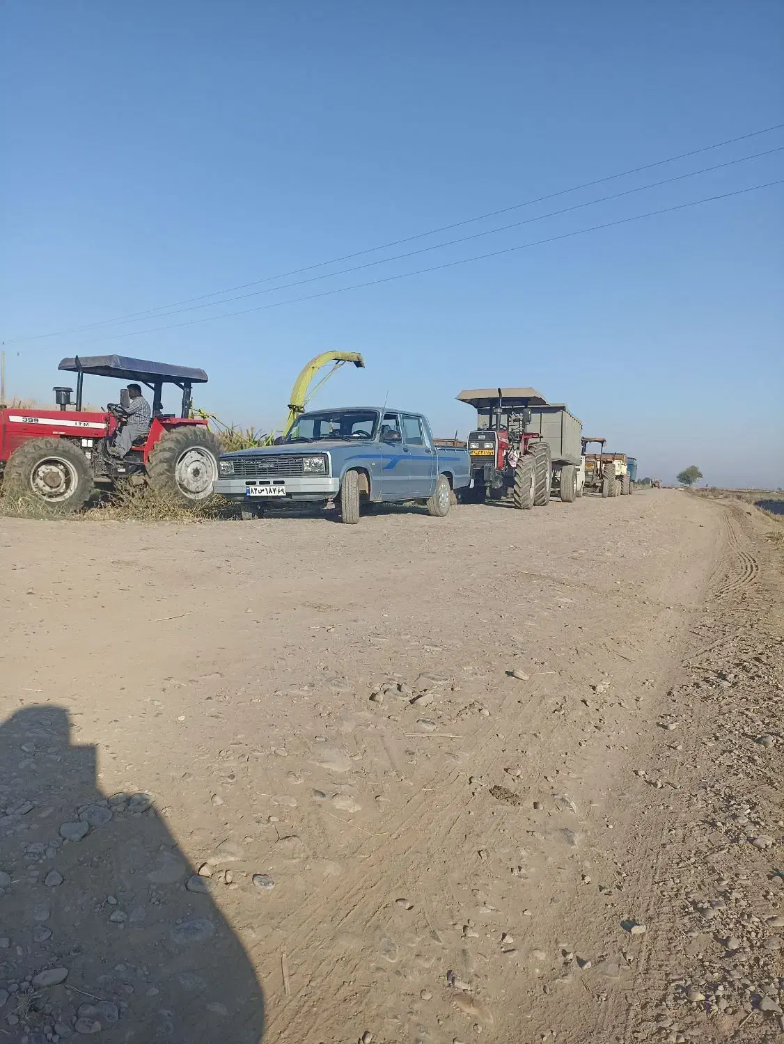 خرید و فروش ذرت علوفه ای و بسته بندی به قیمت مناسب|حیوانات مزرعه|فاضل آباد, |دیوار