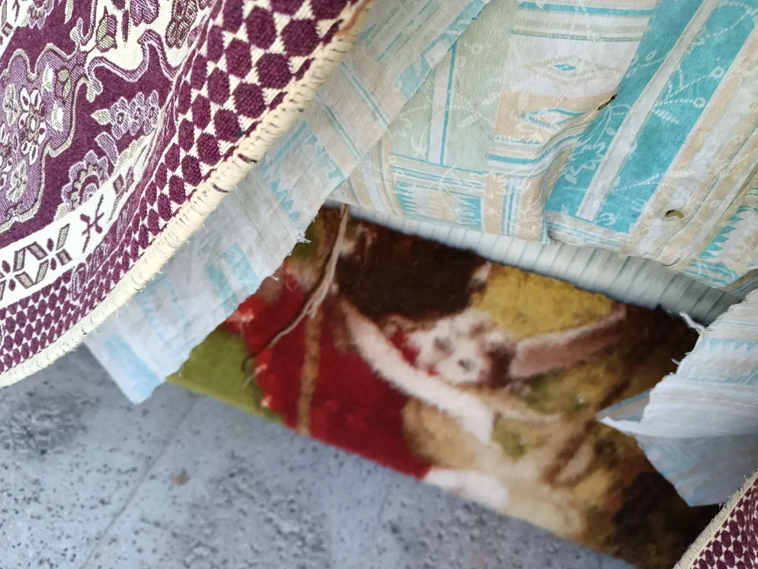 دار قالی|فرش|طرقبه, |دیوار