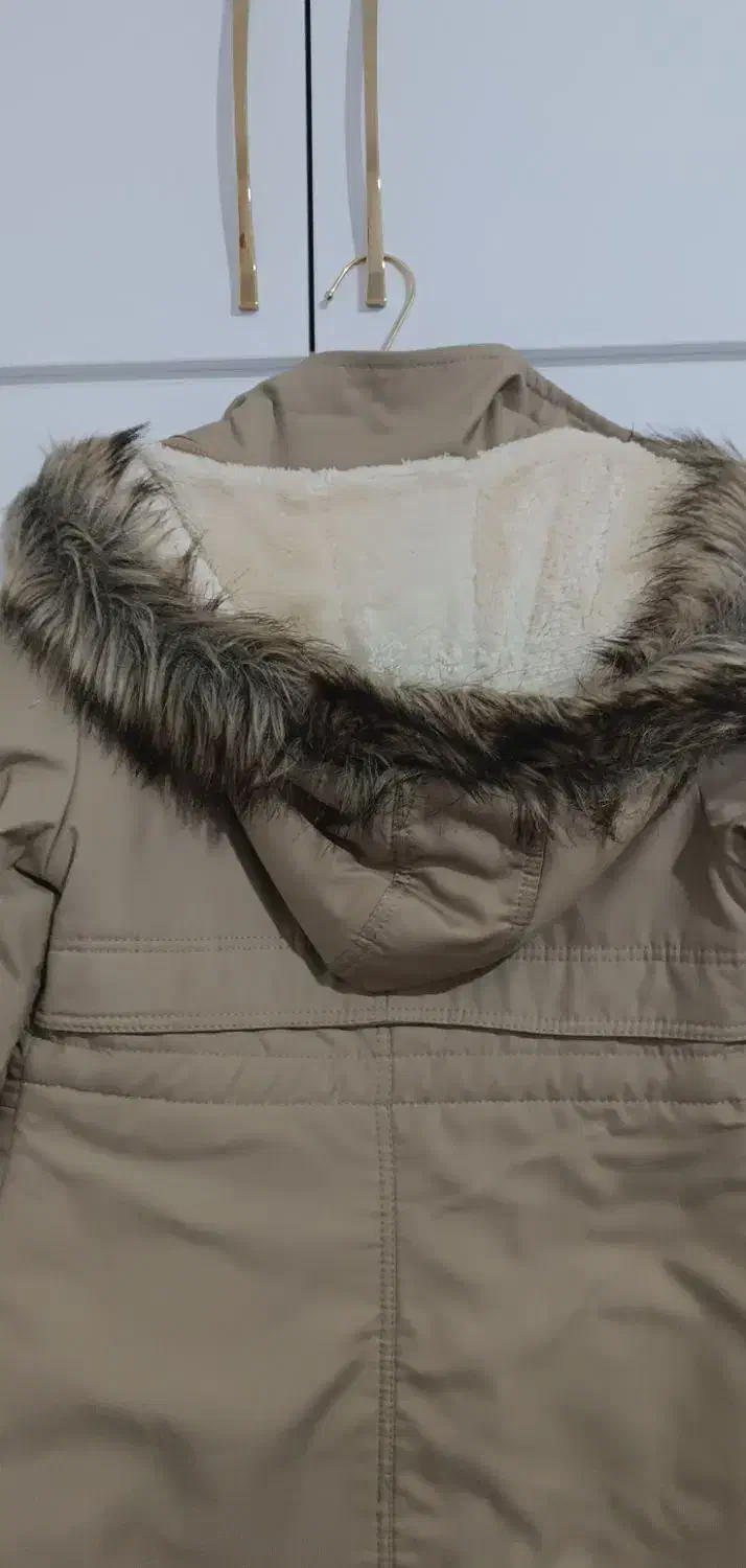 پالتو خزدار|لباس|خرم‌آباد, |دیوار