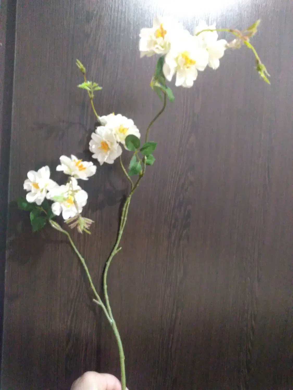 گل پارچه ای شاخه ای|گل مصنوعی|اهواز, بهارستان|دیوار