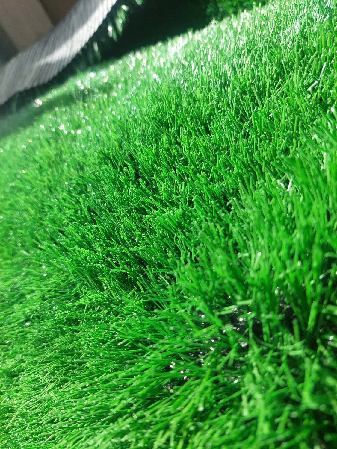 عرضه کاغذ دیواری ایرانی و خارجی چمن مصنوعی|گل مصنوعی|ساری, |دیوار