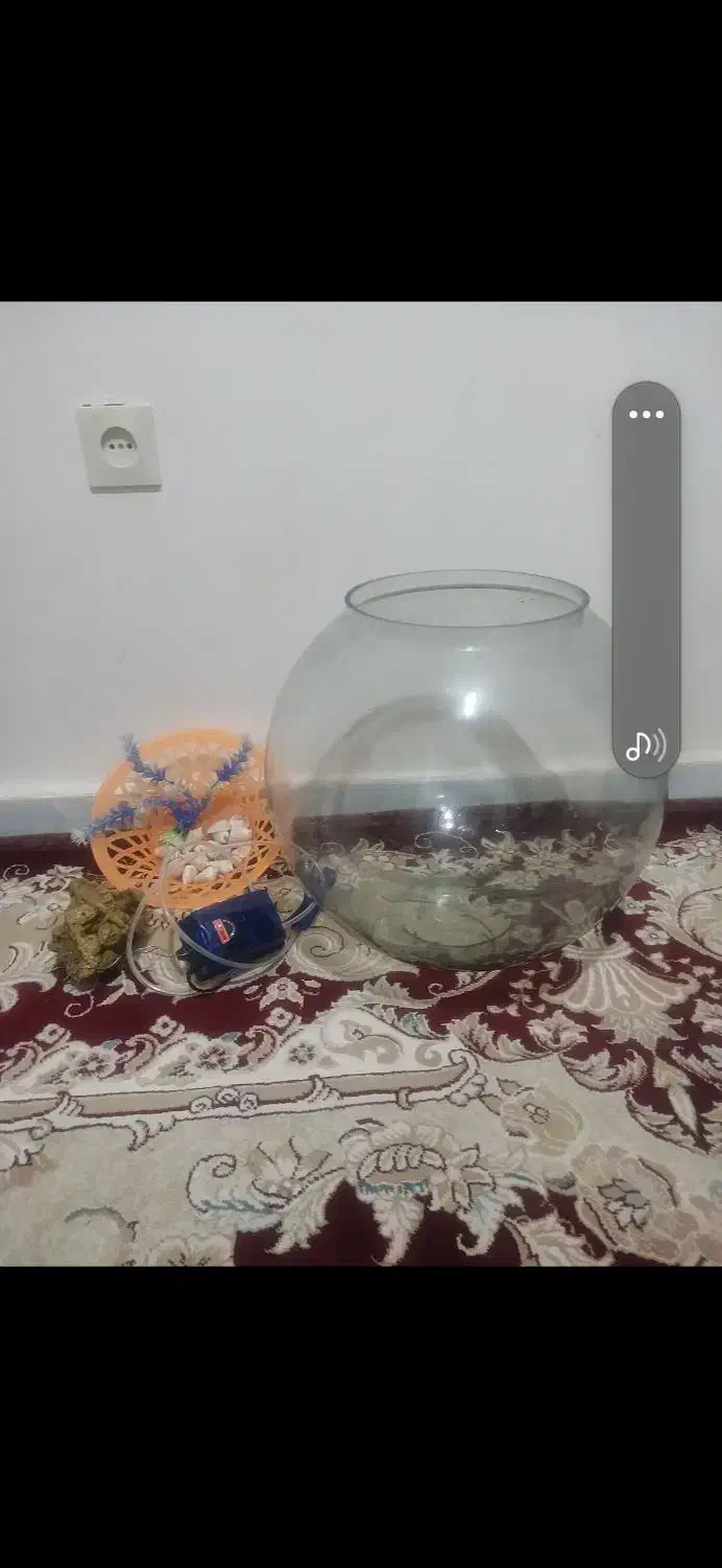 اکواریم گرد با پمپ و وسایل|ماهی|کنگاور, |دیوار
