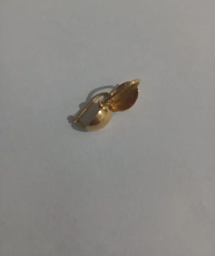 گوشواره طلا|جواهرات|نظرآباد, نظرآباد|دیوار