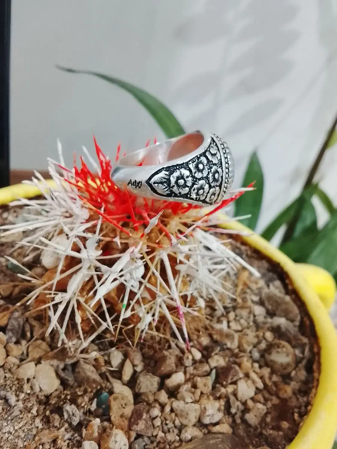 شجر تک درخت|جواهرات|سقز, |دیوار