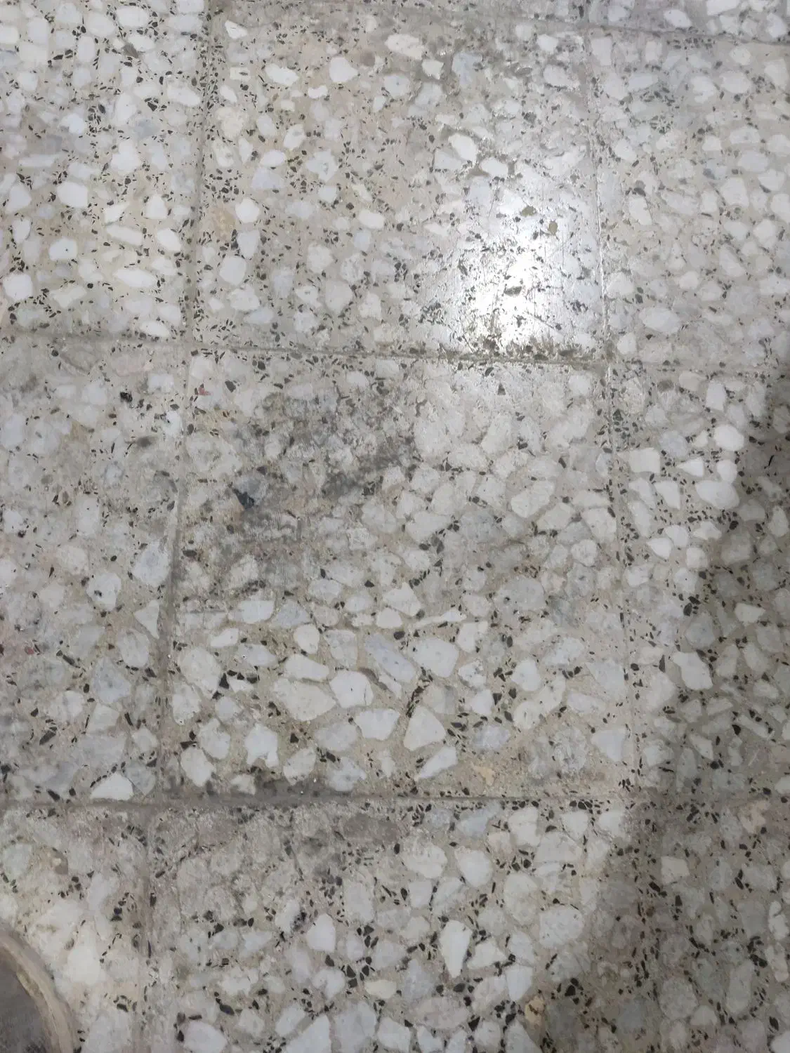 اجاره مغازه|اجارهٔ مغازه و غرفه|یاسوج, |دیوار