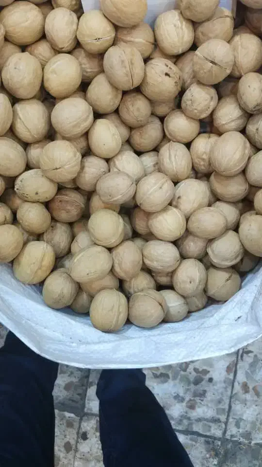 گردو درجه یک|خوردنی و آشامیدنی|کاشان, امیرکبیر|دیوار