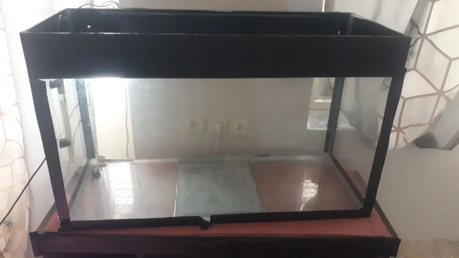 آکواریوم.|ماهی|خرمآباد, |دیوار