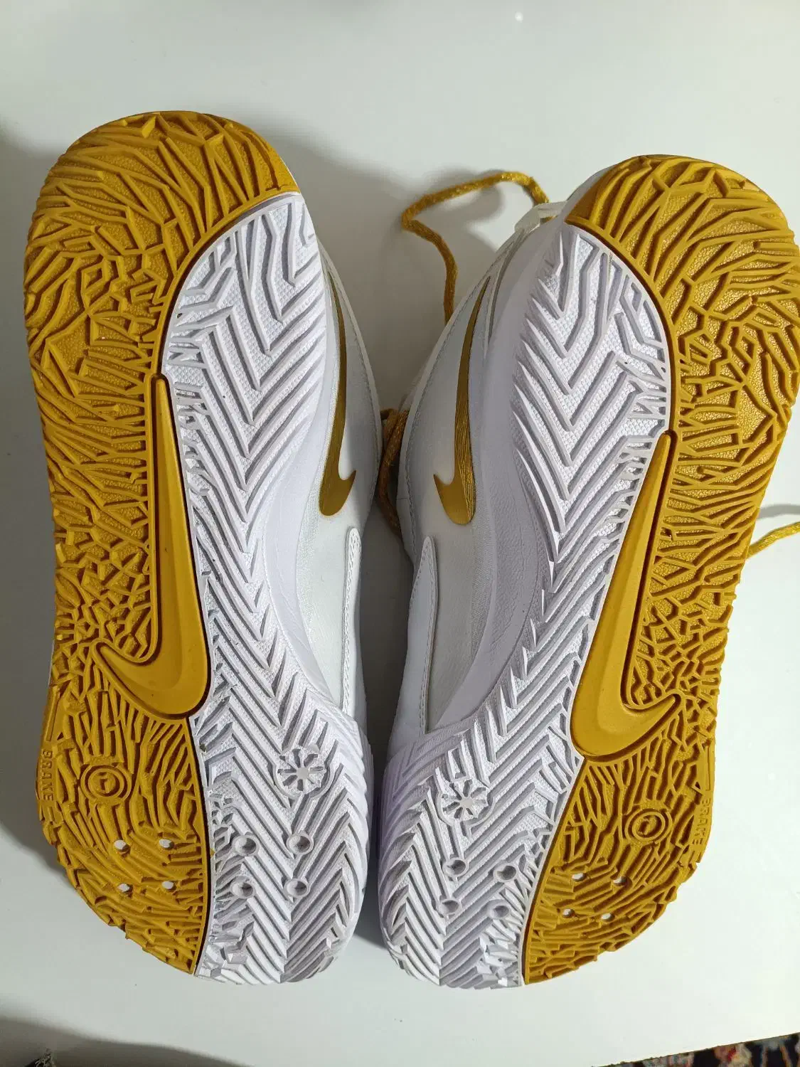 کفش والیبال نایک هاپر ایس 3|کیف، کفش، کمربند|لنگرود, |دیوار