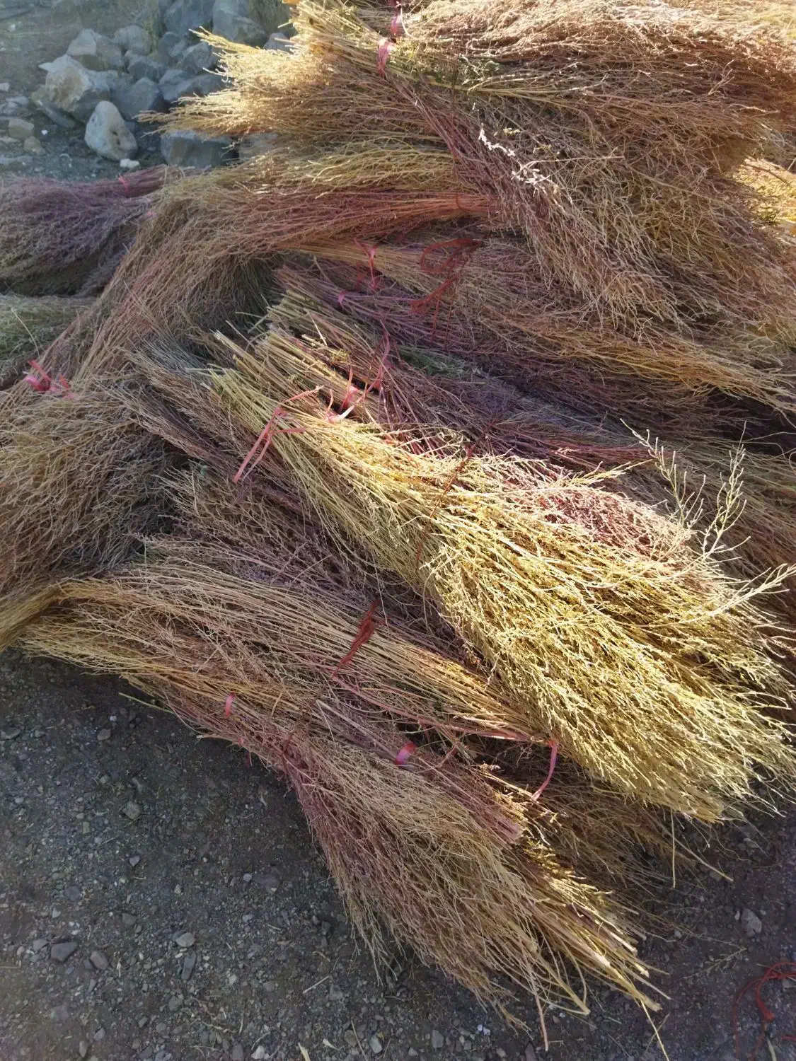 جارو نظافت|لوازم نظافت|روانسر, |دیوار