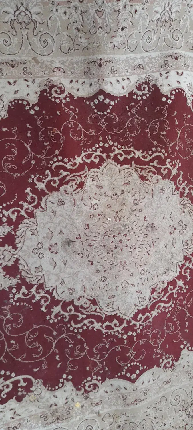 فرش ۶متری|فرش|قم, شهر قائم|دیوار