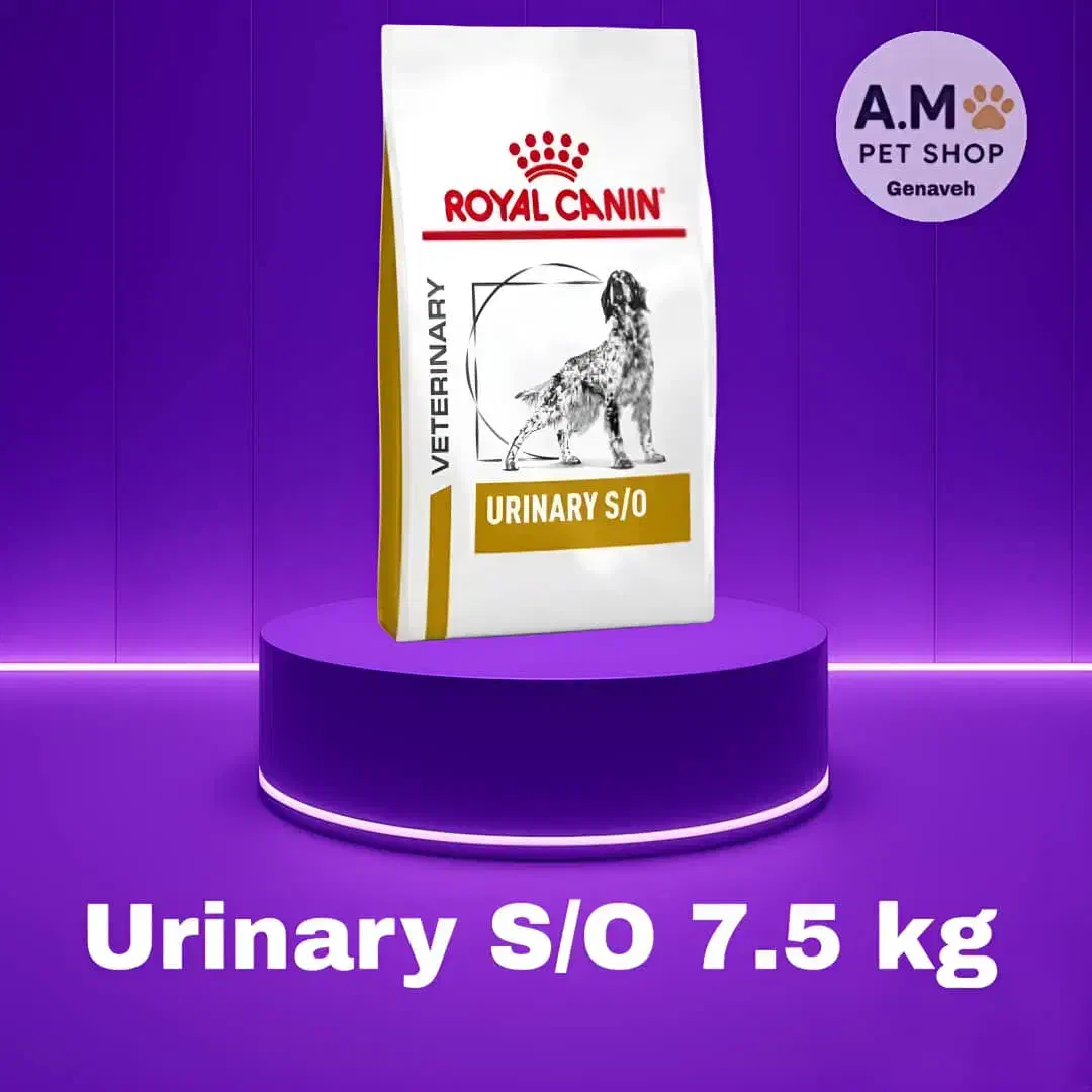 غذای حیوانات خانگی سگو گربه|لوازم جانبی حیوانات|مشهد, احمدآباد|دیوار