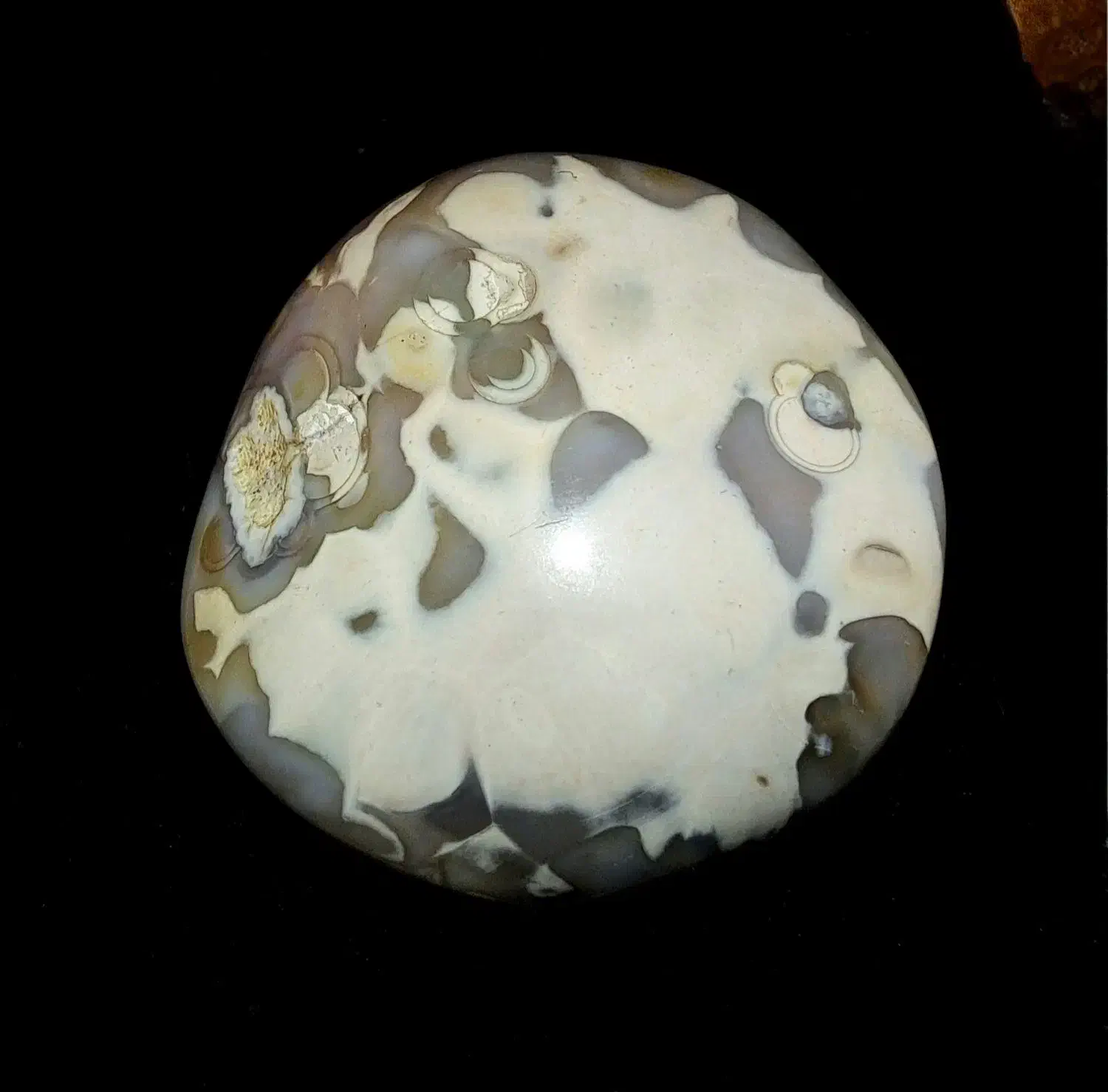 انگشتر ومهره کلکسیونی|کلکسیون اشیاء عتیقه|حمیدیه, |دیوار