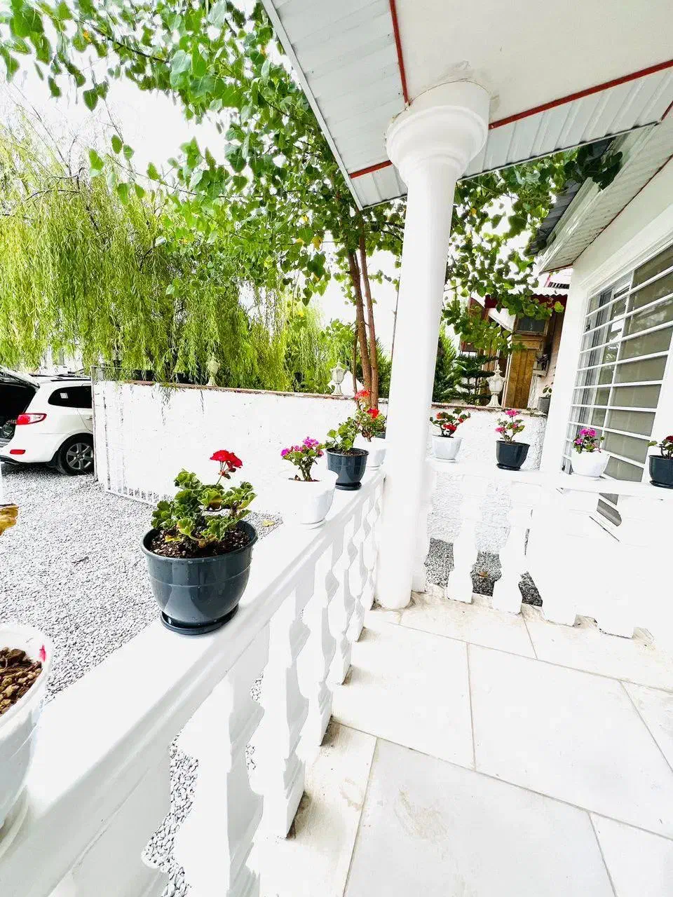 ویلا فلت 150 متری سرسبز جنگلی سند ششدانگ|فروش خانه و ویلا|املش, |دیوار