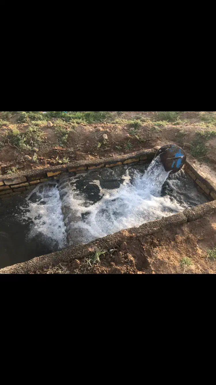 یک ساعت آب و باغ پسته فروشی روستای سیوکی|فروش دفتر صنعتی، کشاورزی، تجاری|تربت‌حیدریه, پائین ولایت|دیوار