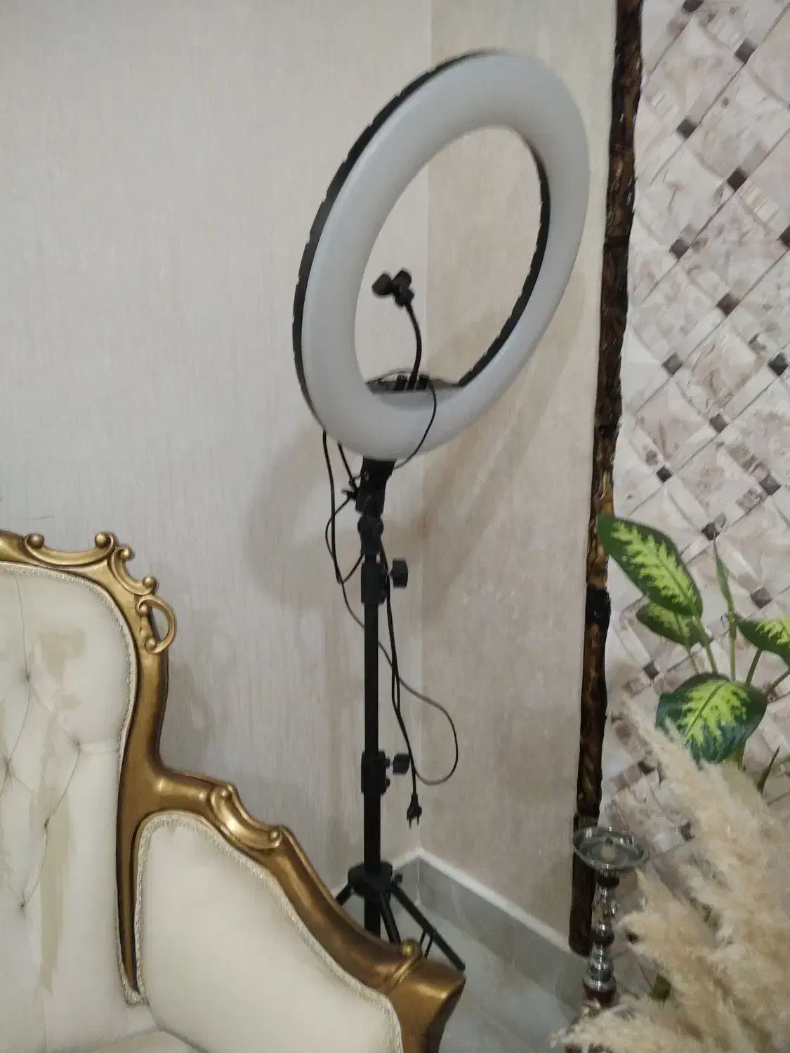 رینگ لایت سایزبزرگ و پرنور|لامپ و چراغ|گرگان, |دیوار