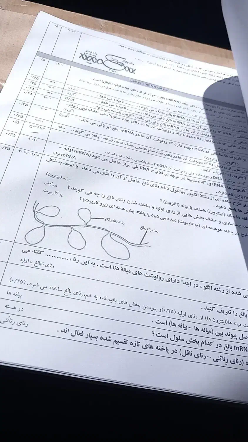 کتاب کمک‌درسی‌نوکنکورخیلی‌سبزگاج‌الگو(تخفیف)|لوازم التحریر|مراغه, |دیوار