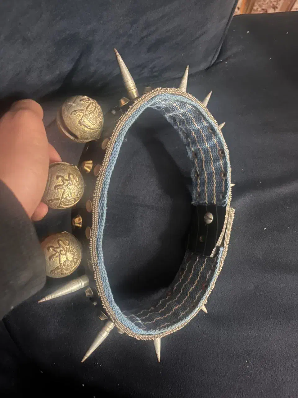 قلاده دوسه تا از خار هاش کم شده|لوازم جانبی حیوانات|گنبد کاووس, |دیوار