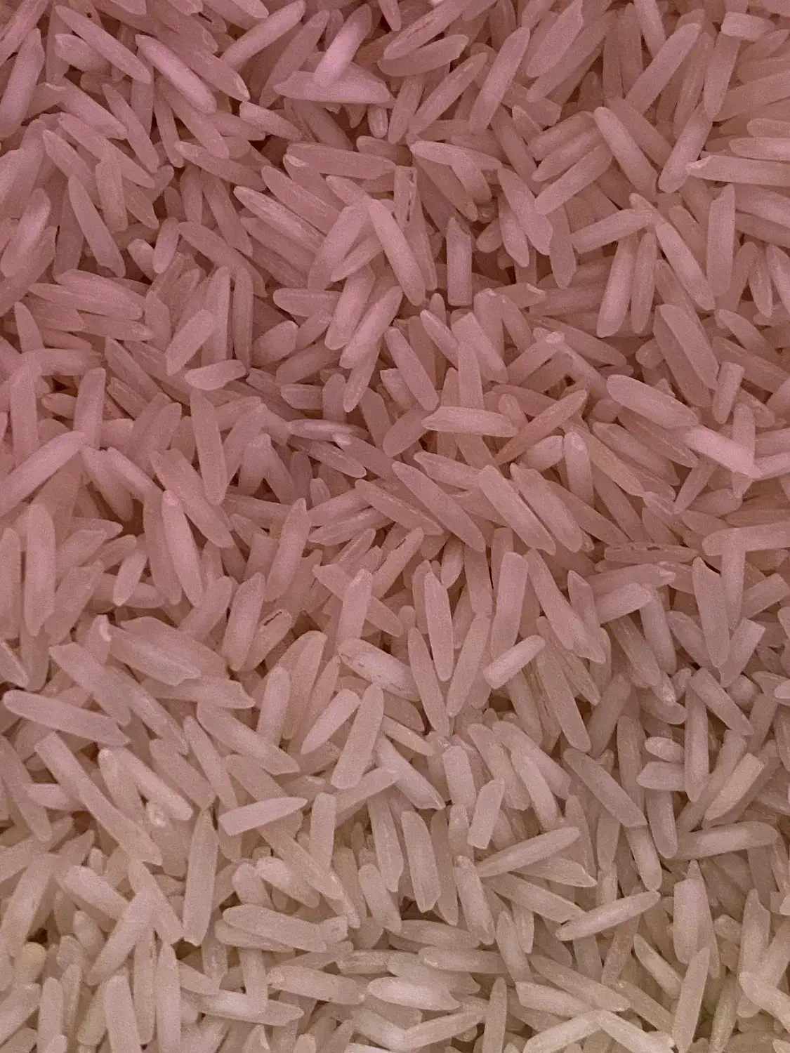 دانه بلند سلیم پاکستان|خوردنی و آشامیدنی|تبریز, |دیوار