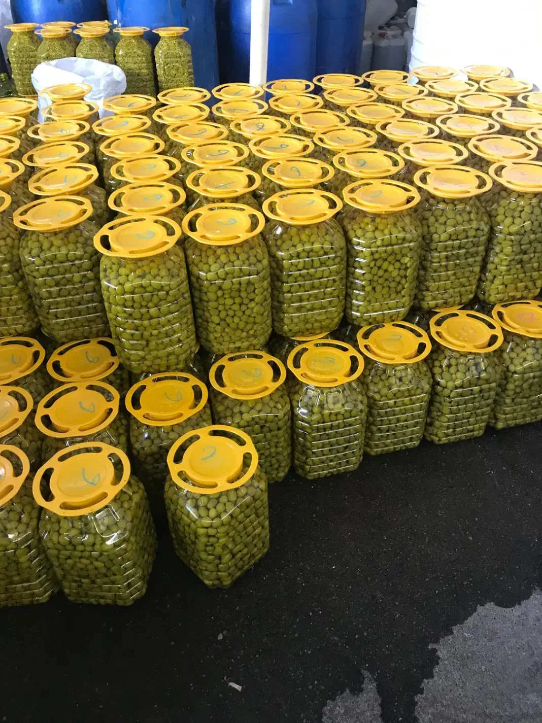 زیتون و روغن زیتون طارم|خوردنی و آشامیدنی|رشت, چله خانه|دیوار