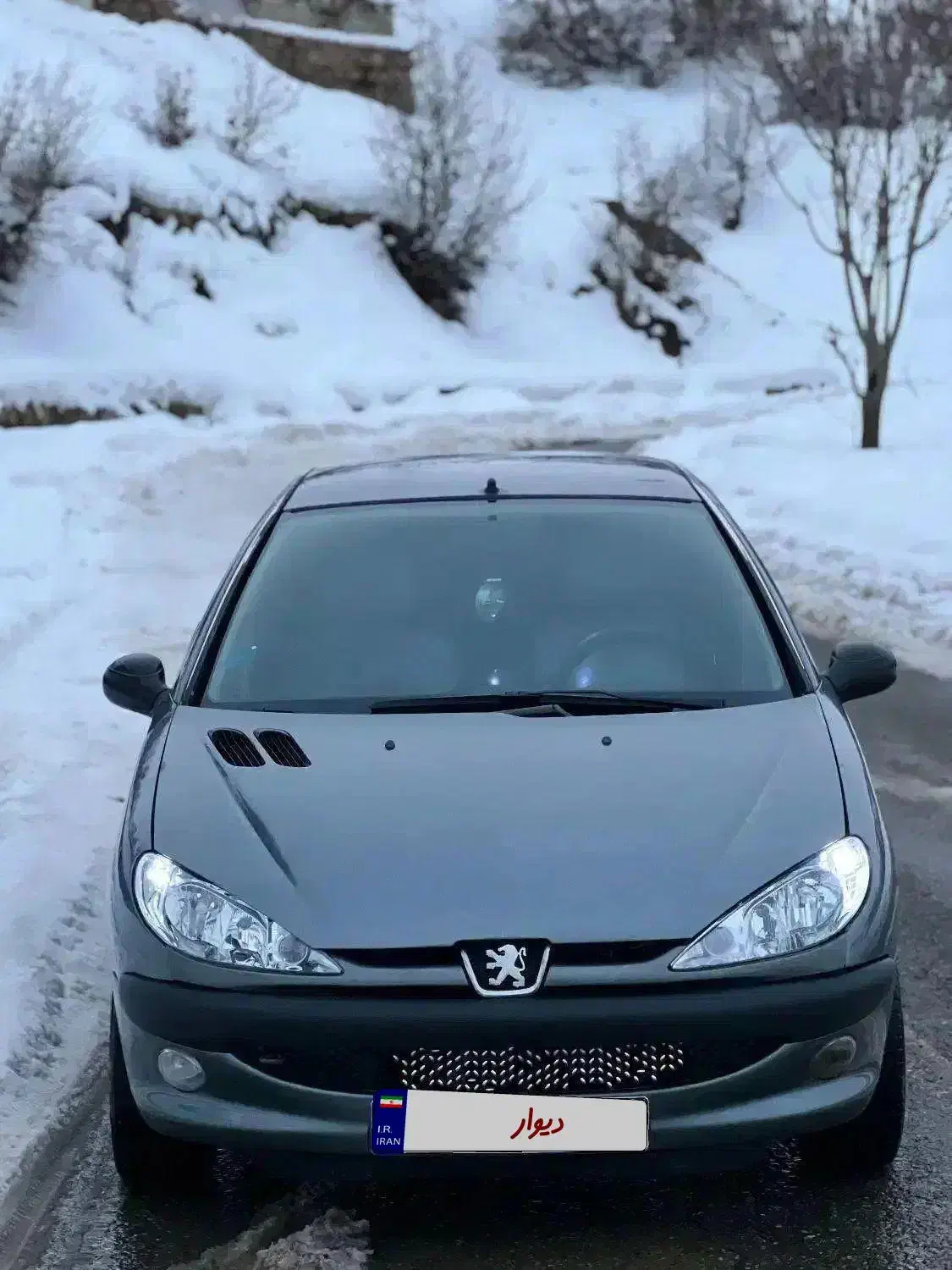 پژو۲۰۶ مدل۸۶|خودرو سواری و وانت|مریوان, |دیوار