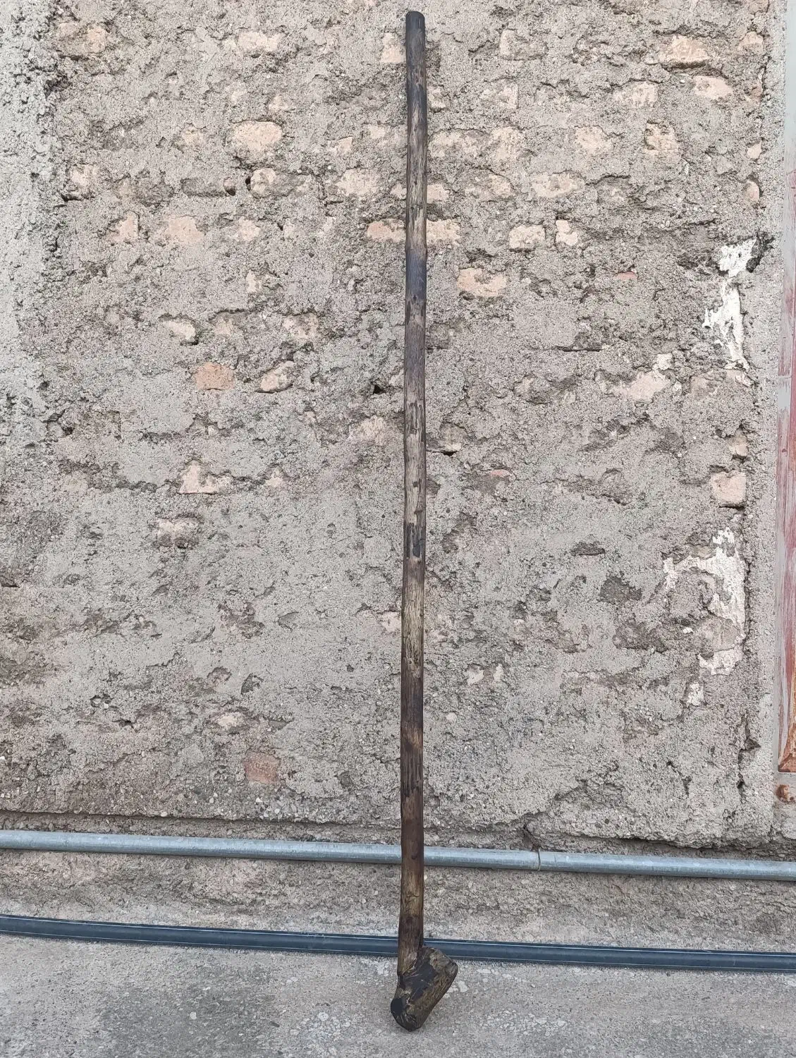 چوب دستی جنگلی|کلکسیون اشیاء عتیقه|فاضل آباد, |دیوار