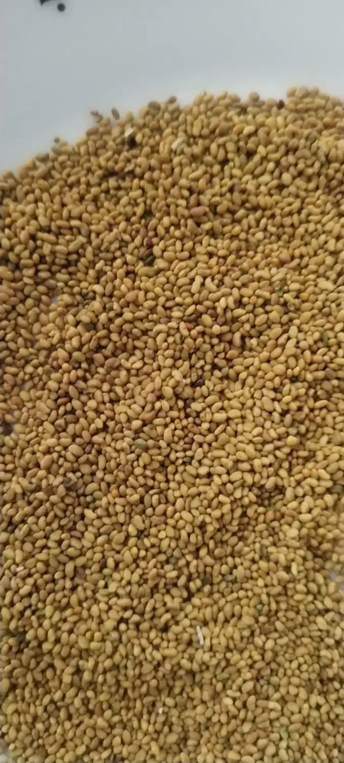 بذرقره یونچه|خدمات باغبانی و درختکاری|فیروزآباد (آذربایجان), |دیوار