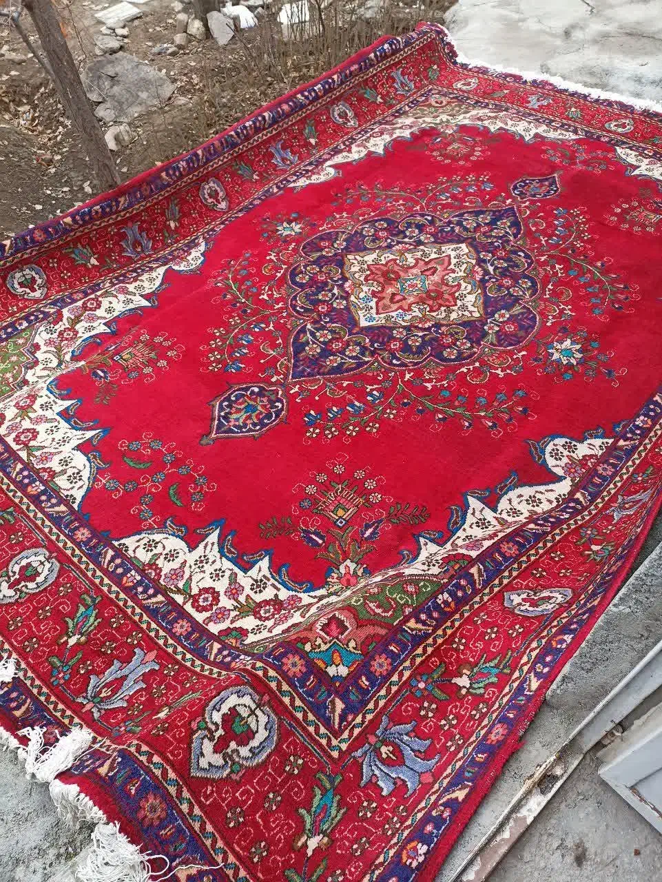 فرش دستباف ۱۲متری|فرش|مرند, |دیوار