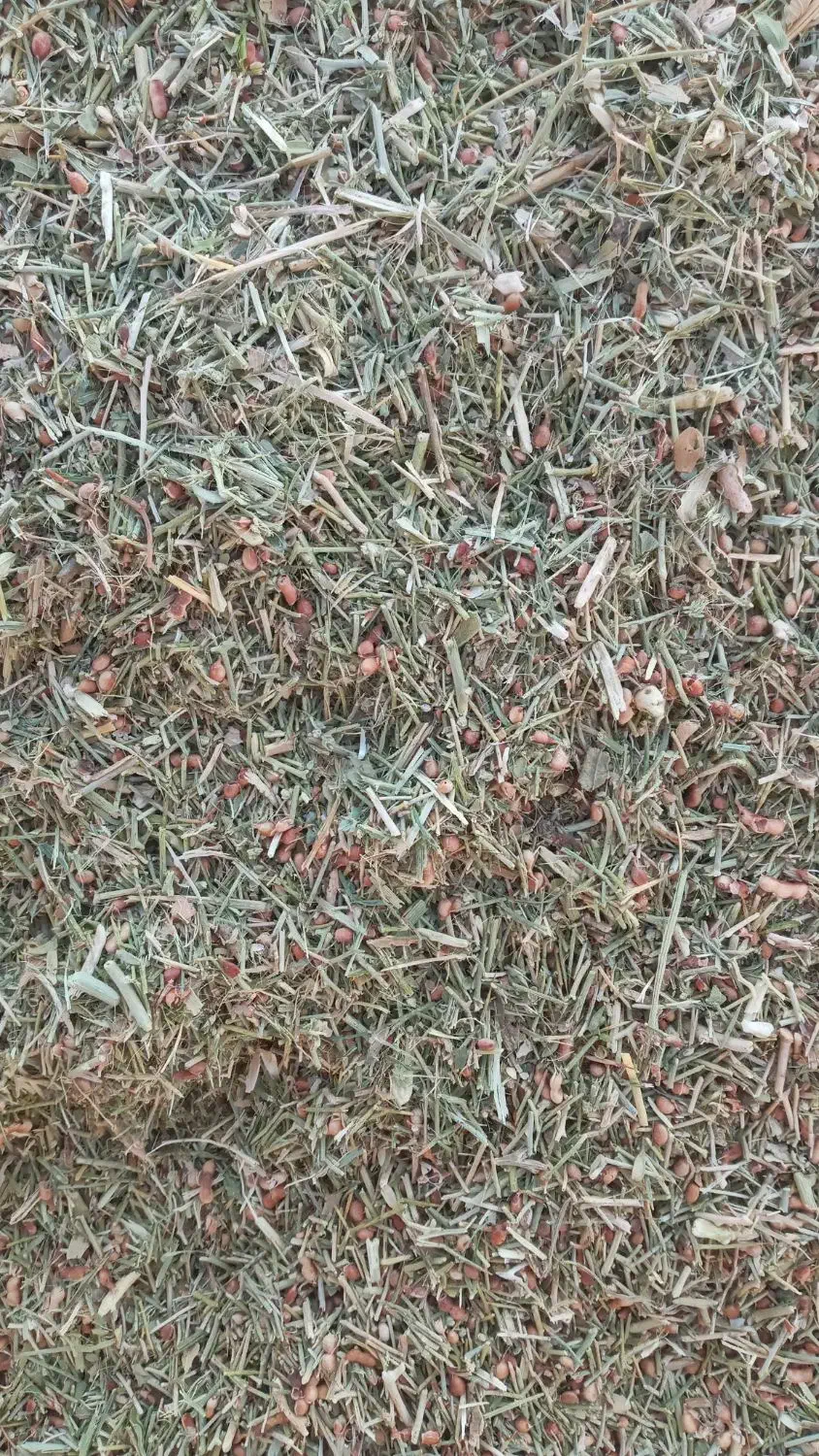 کاه خارشتر|لوازم جانبی حیوانات|رودهن, |دیوار