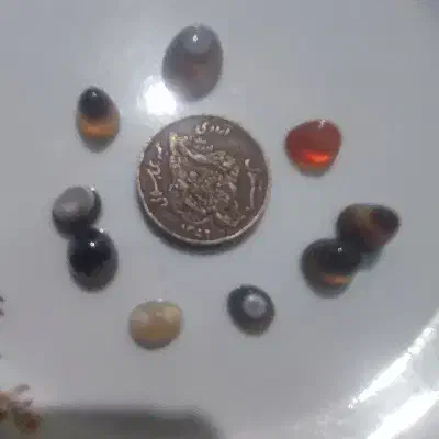 کلکسیون سکه|کلکسیون سکه، تمبر، اسکناس|نیشابور, فردوسی جنوبی|دیوار