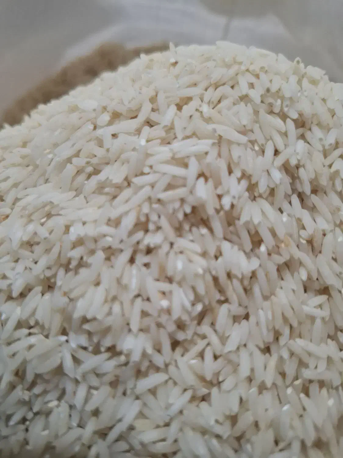 برنج دمسیاه بدون سمپاشی|خوردنی و آشامیدنی|درگز, |دیوار