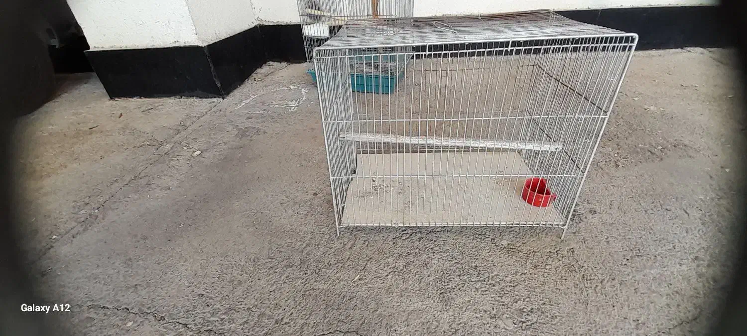 قفس پرنده|لوازم جانبی حیوانات|هشتگرد, شهرک پارسیان|دیوار