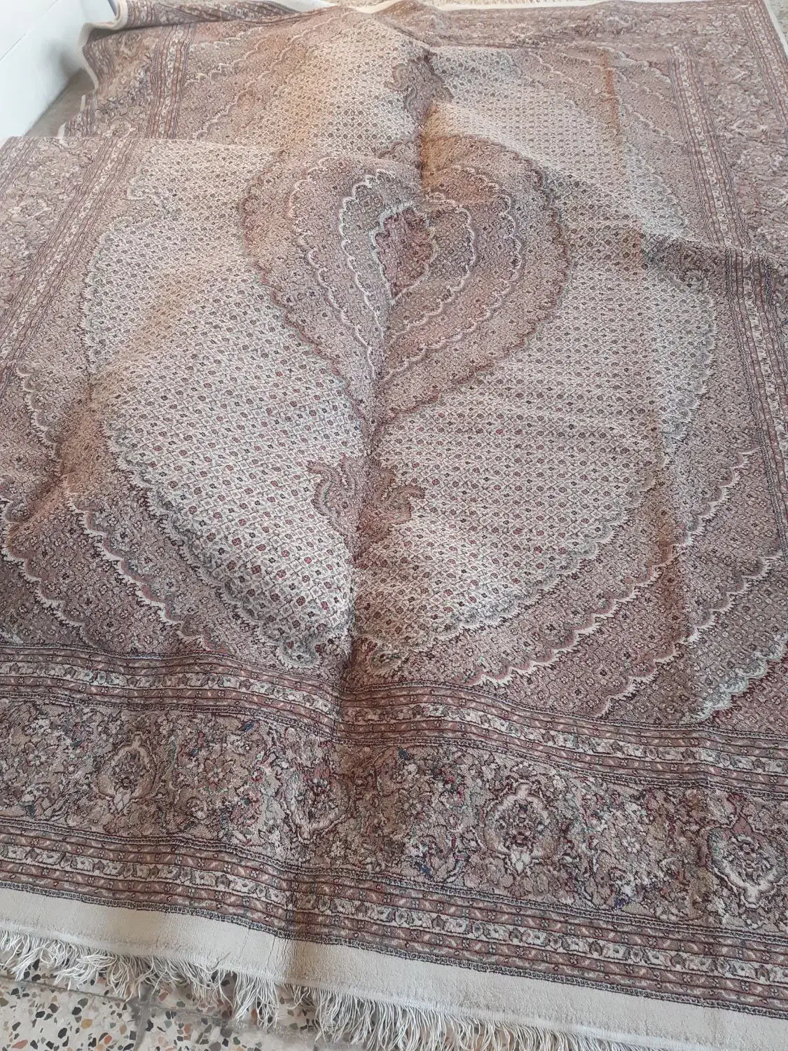 یک عدد فرش ۱۲ متری ماشینی ۱۲۰۰ شانه|فرش|اندیمشک, |دیوار