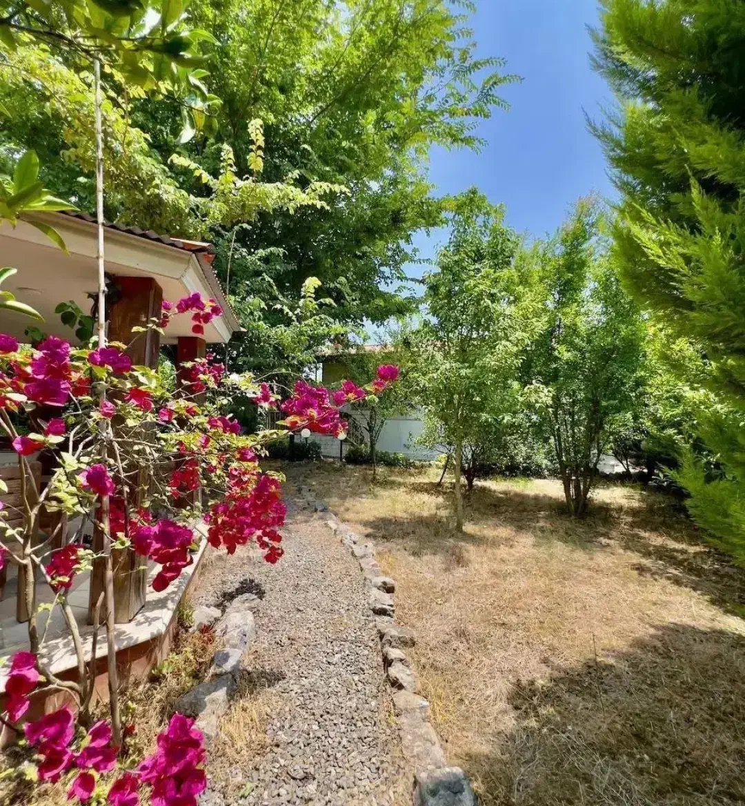 ویلا باغ 670متر/ مشجر و دلباز/ عرصه عیان/نعمت آباد|فروش خانه و ویلا|چمستان, |دیوار