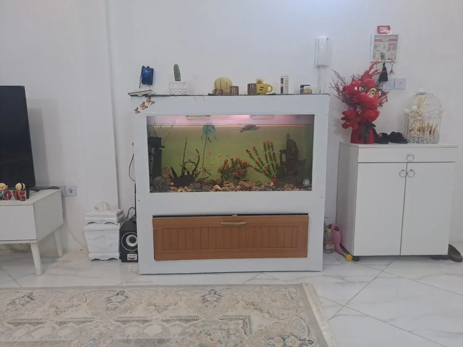 اکواریم یک متر و بیست سانتی متر است|ماهی|مشهد, طبرسی شمالی|دیوار