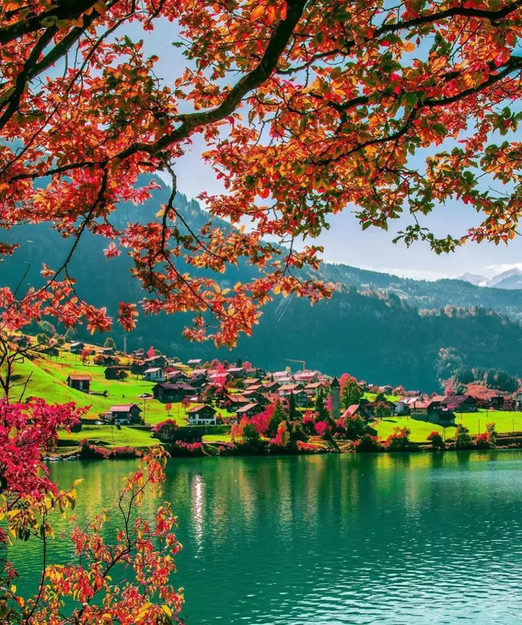 راهنمایی کنید.|فعالیت داوطلبانه|یزد, |دیوار