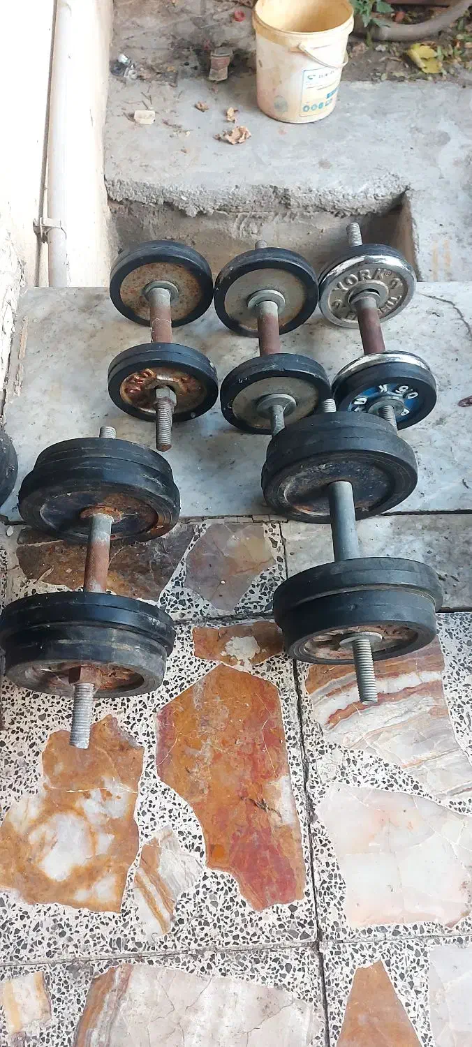 دمبل|تجهیزات ورزشی|گنبد کاووس, |دیوار