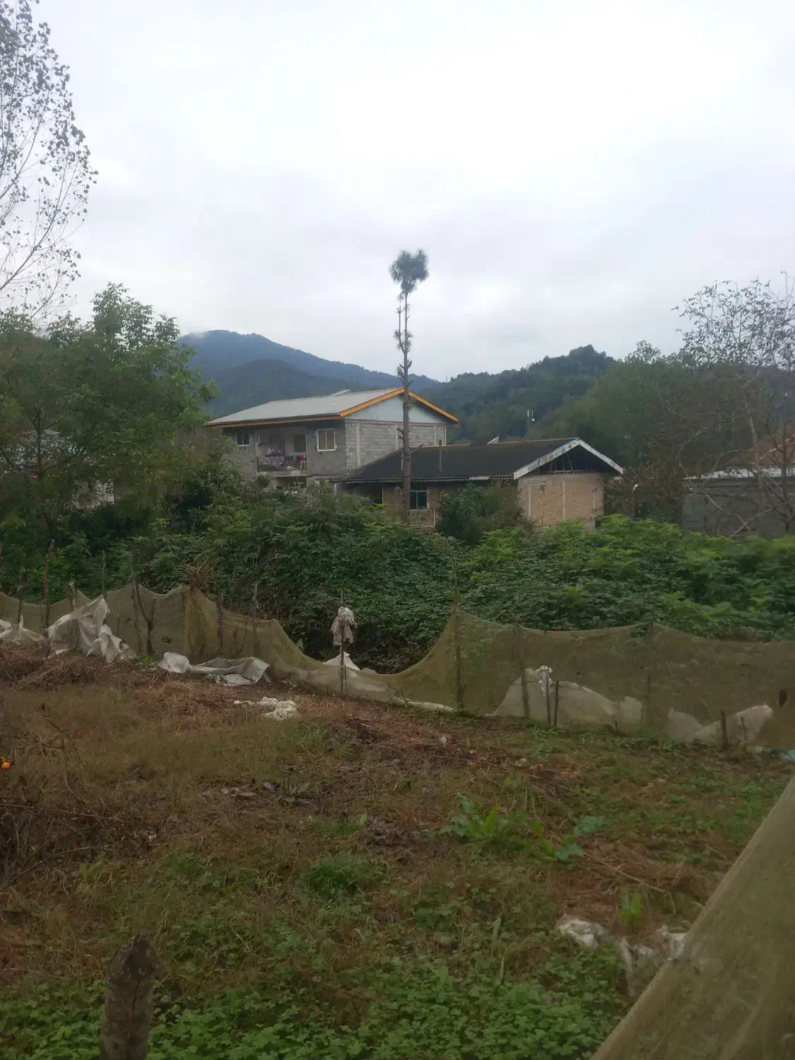 ۲۰۰متر زمین با پروانه ساخت ویو دار|فروش زمین و ملک کلنگی|املش, |دیوار