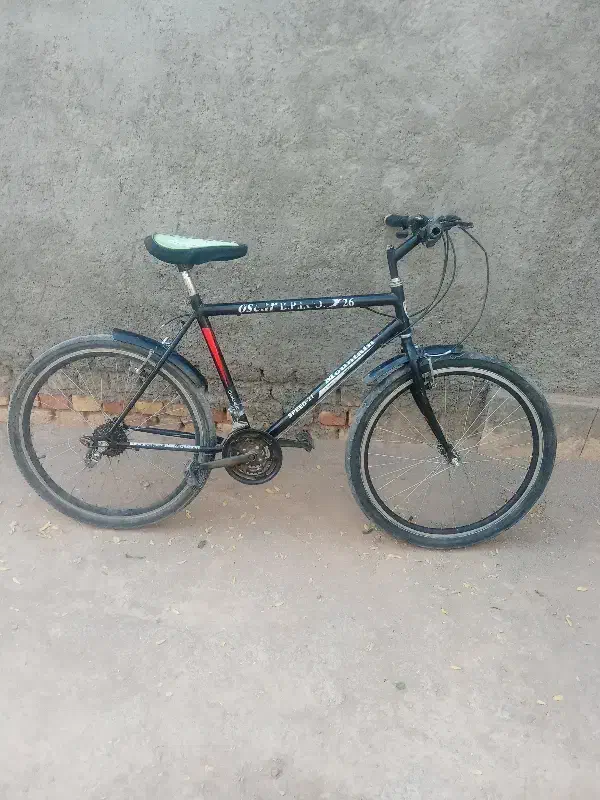 دوچرخه 26|دوچرخه، اسکیت، اسکوتر|جلگه ماژان, |دیوار