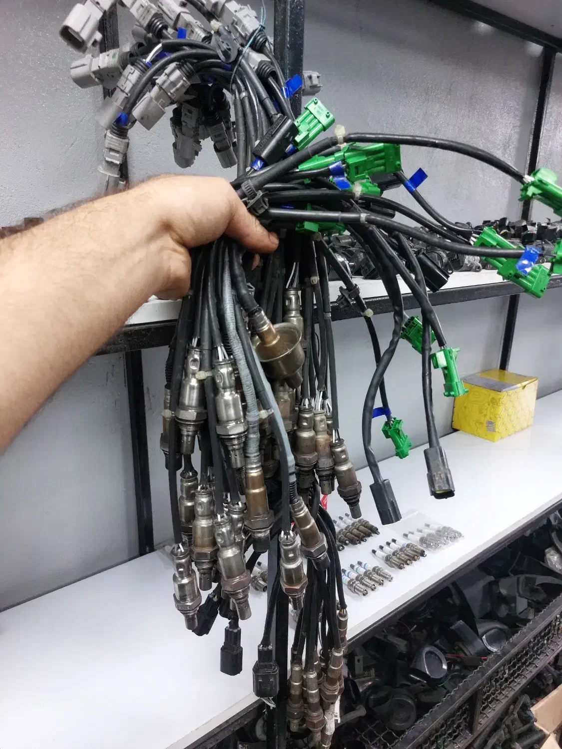 استوک اروپایی دیلمان|قطعات یدکی و لوازم جانبی|رشت, انصاری|دیوار