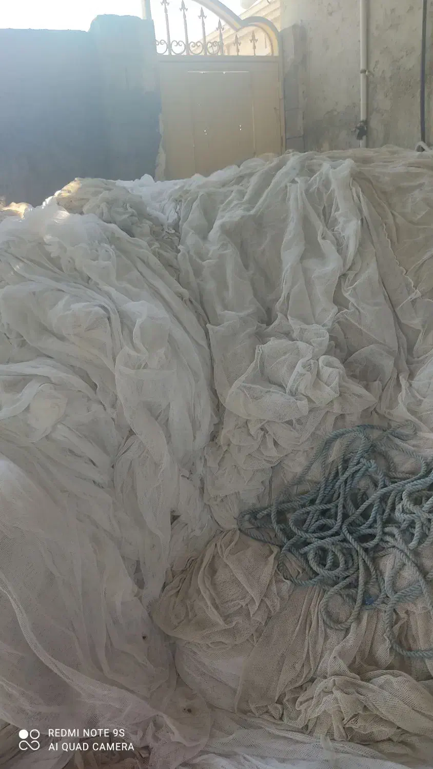 حل کاشفی فروشی|ماهیگیری|قشم, |دیوار