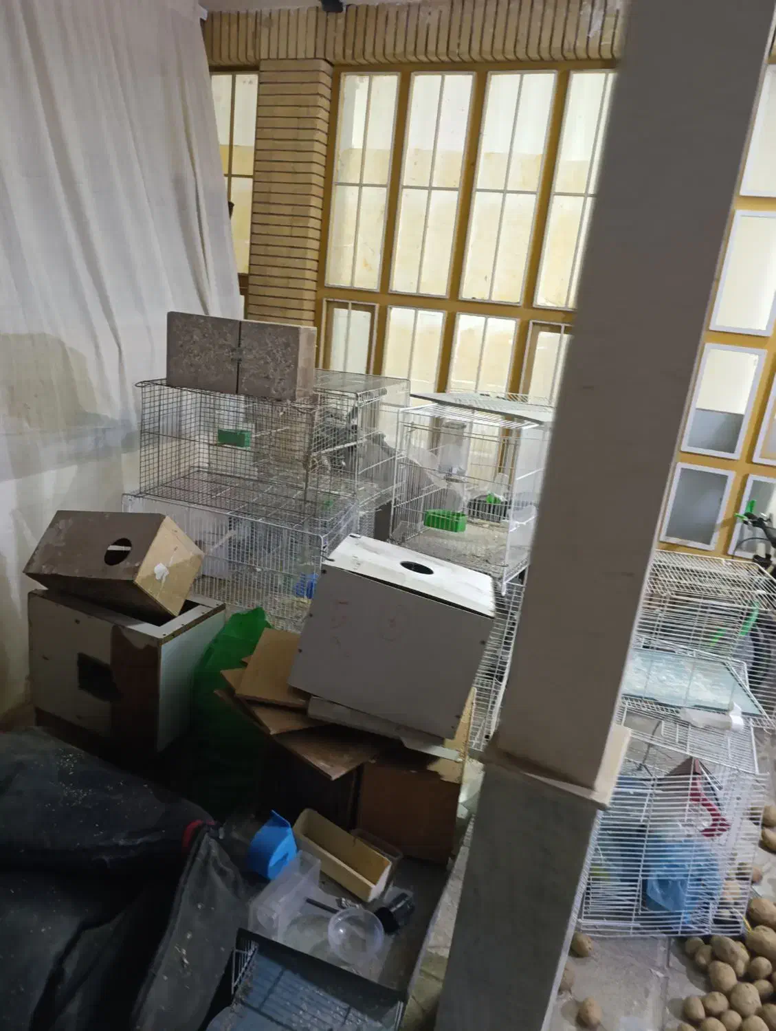 قفس پرنده عروس کبوتر و..|لوازم جانبی حیوانات|نیشابور, شهرک ولیعصر|دیوار