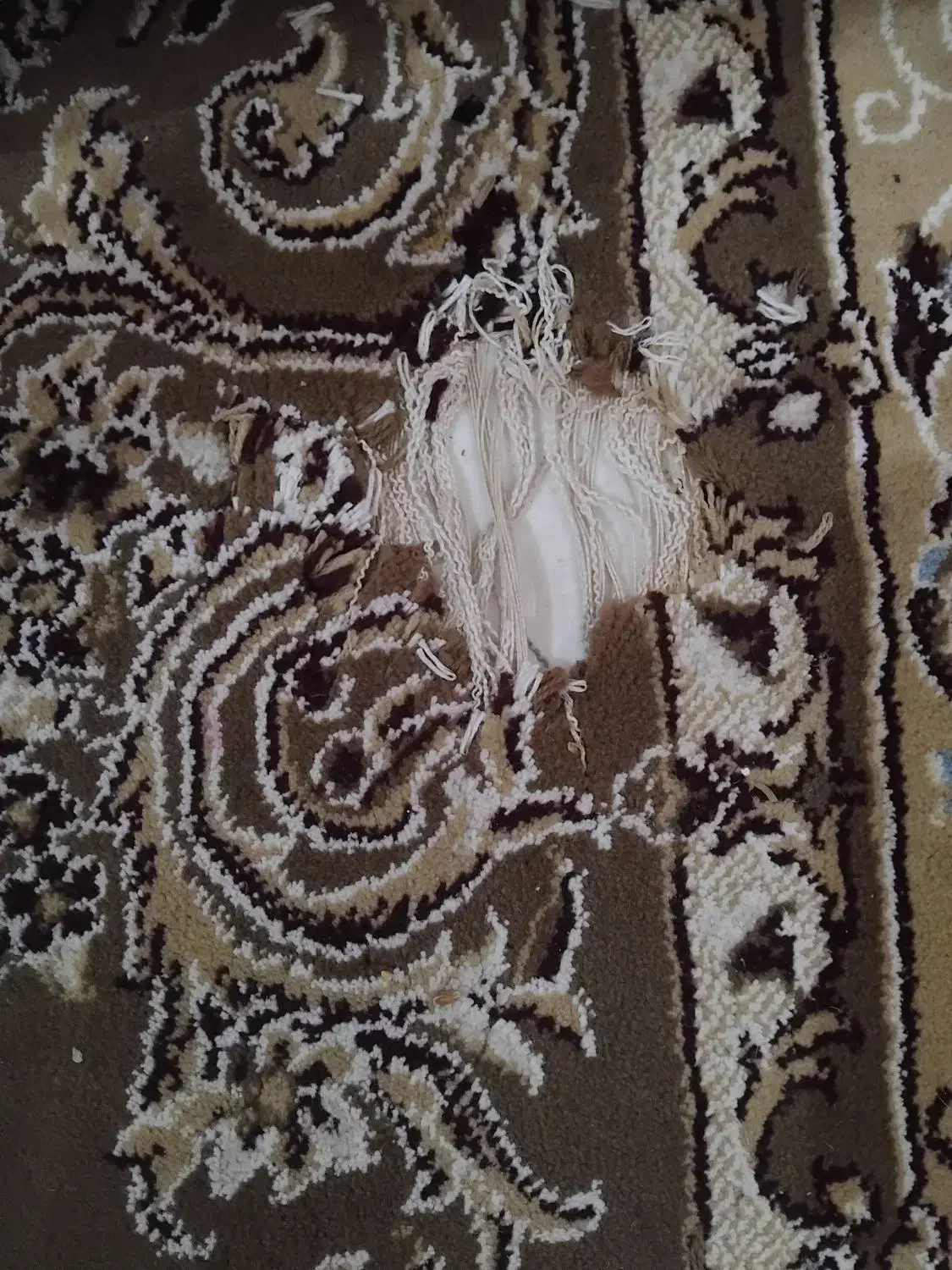 یه جفت فرش 6 متری گردویی|فرش|نیشابور, مبارکه|دیوار